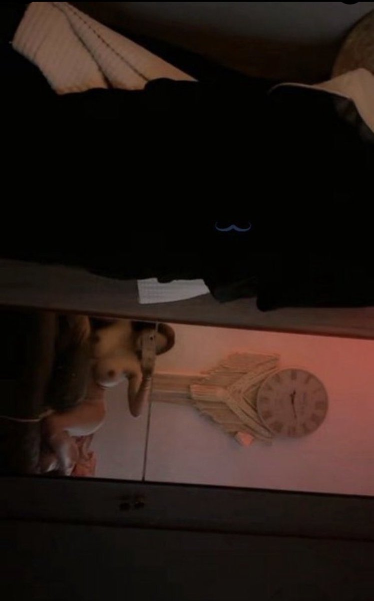 Labeauté du Sud tweet media