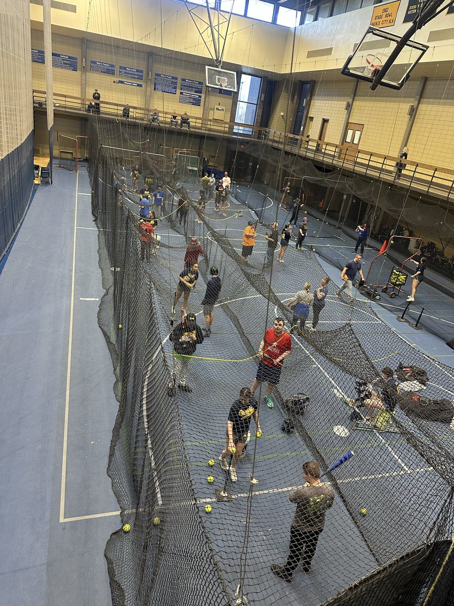 Augustana Softball tweet media