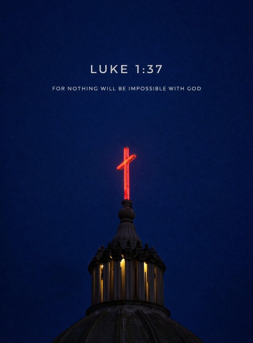 Holy Bible tweet media