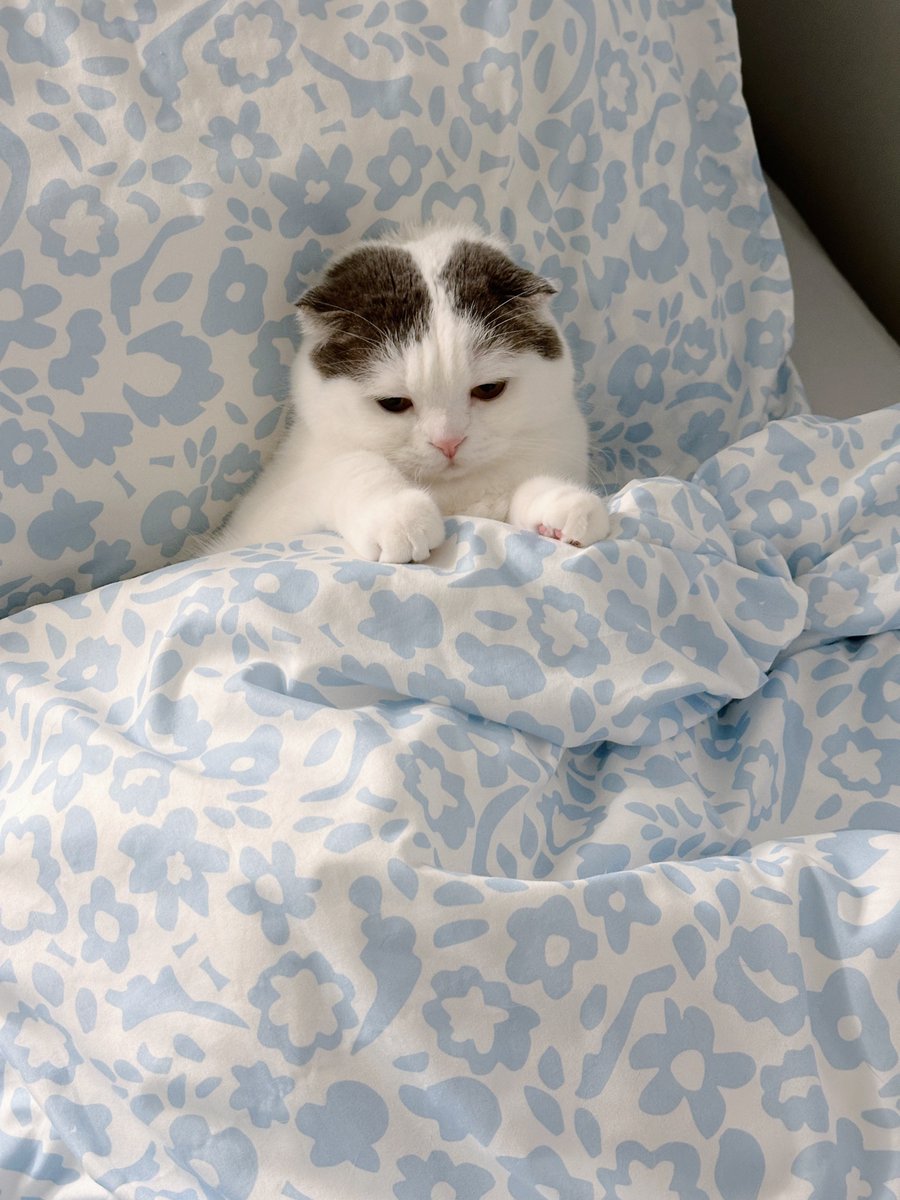 เค้งๆ คับจู๊ด