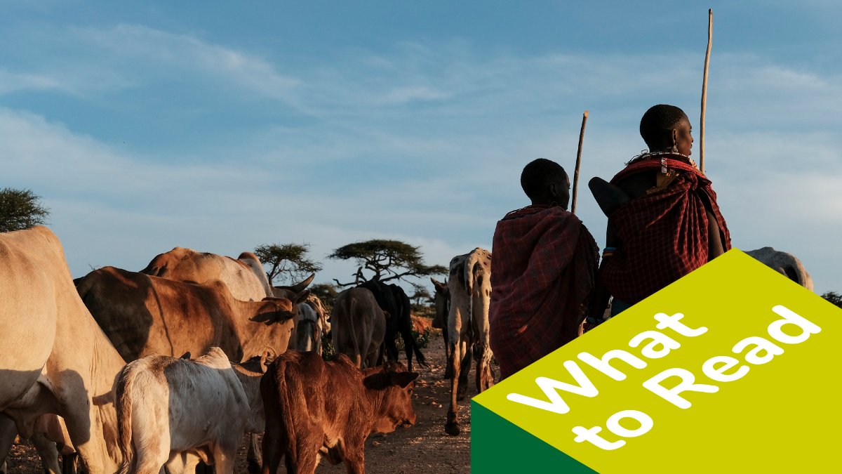 Land Portal tweet media