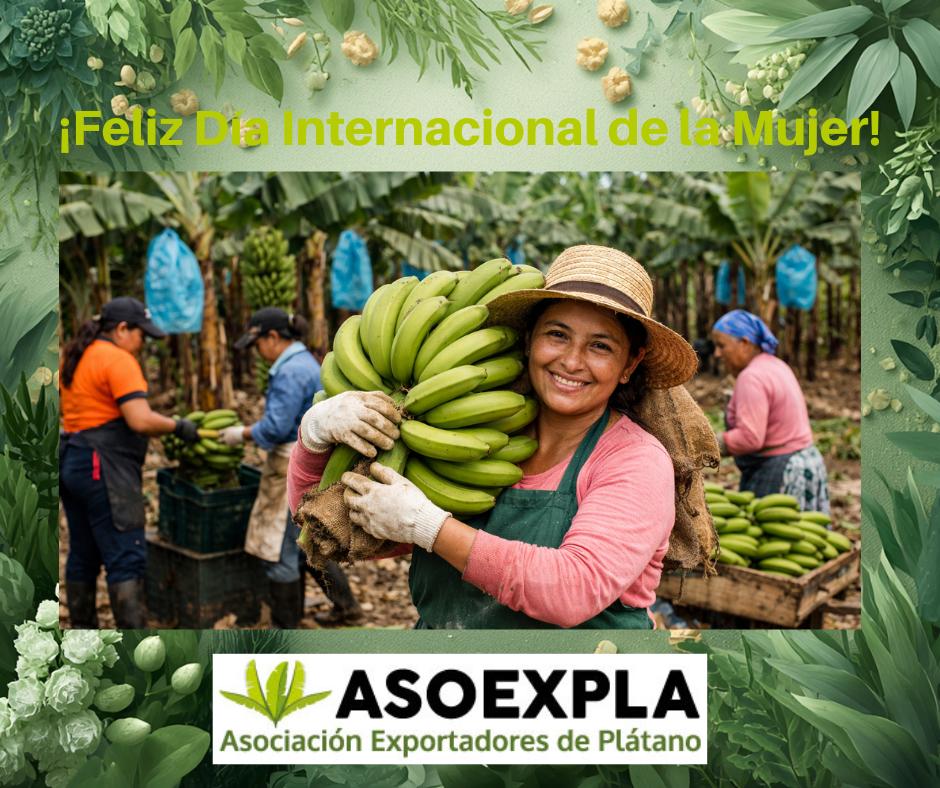 ASOEXPLA - Asociación Exportadores de Plátano tweet media