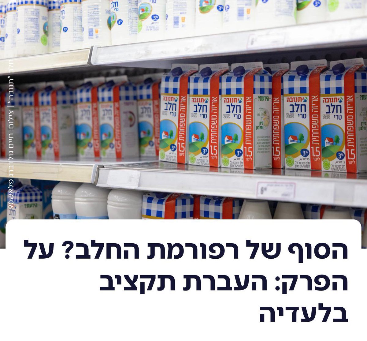 אבי מעוז tweet media