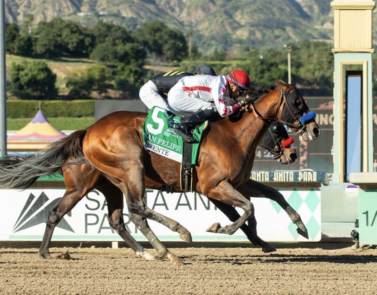 Stakes Winners 🏆 tweet media