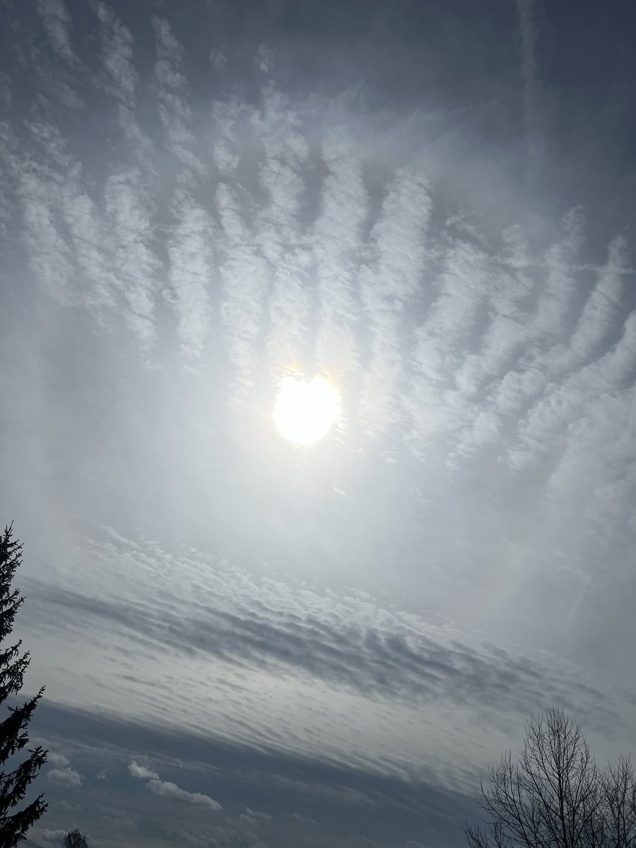 B Lucile tweet media