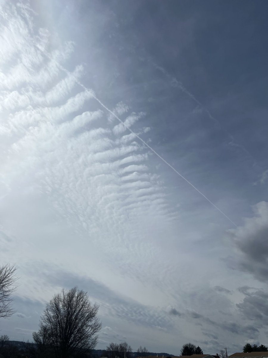 B Lucile tweet media