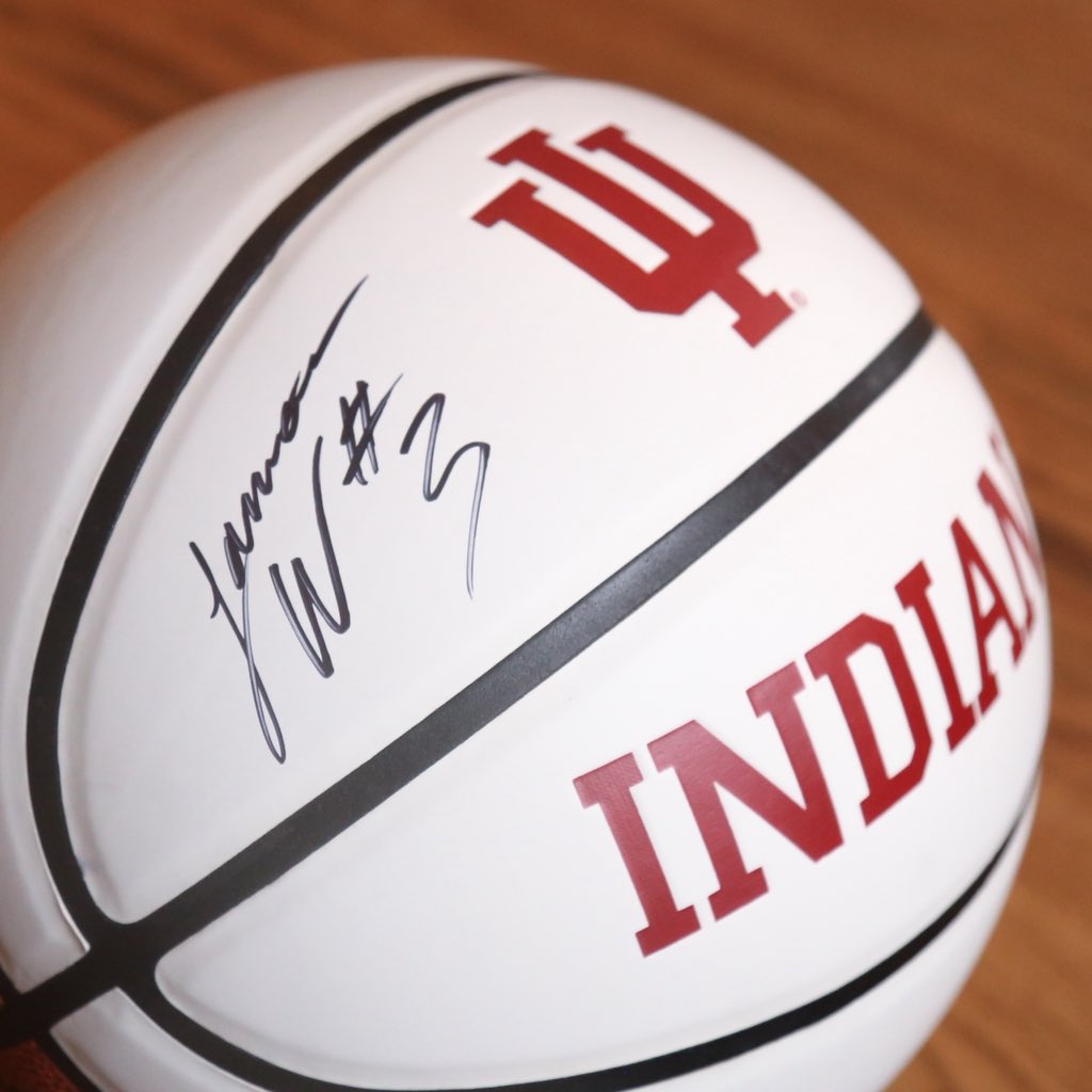 Bison Drops tweet media