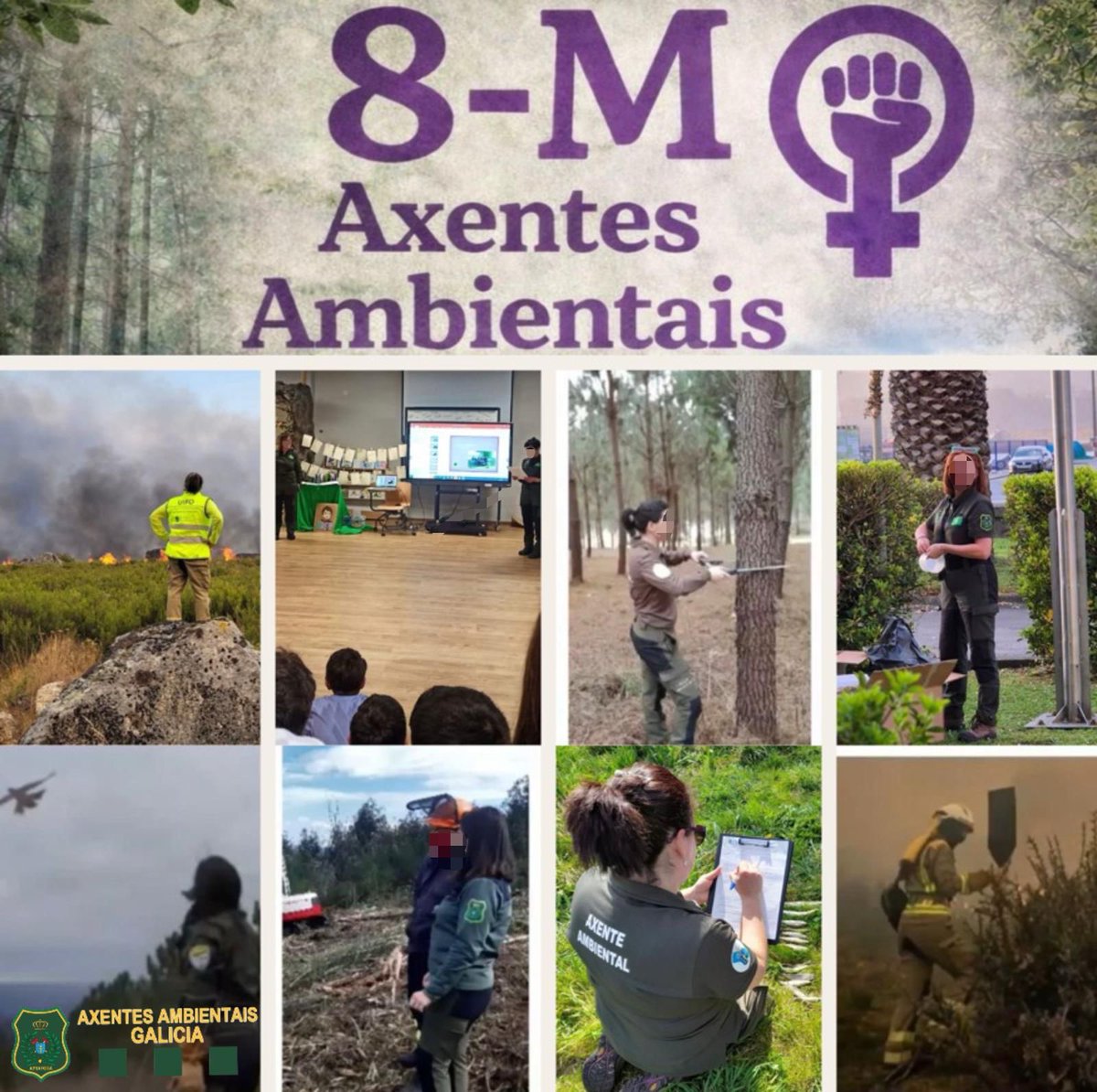 Aprafoga tweet media