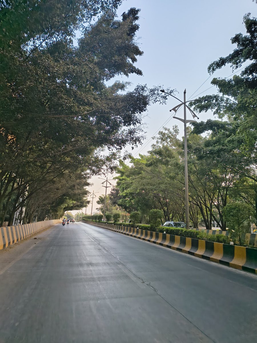 BrainBreeze tweet media