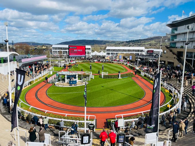 🐦Pigeon🐎Island🐦 tweet media