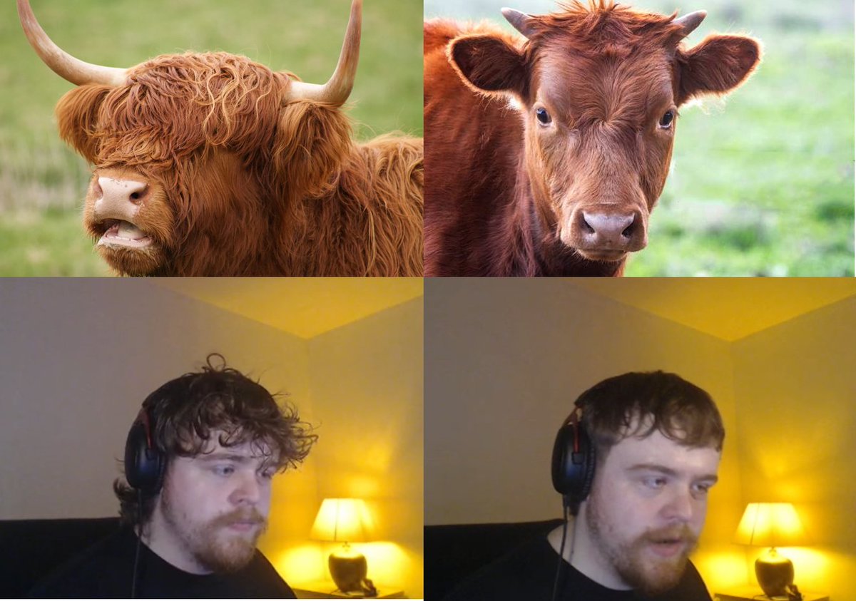 Ohne_Jinxel tweet media