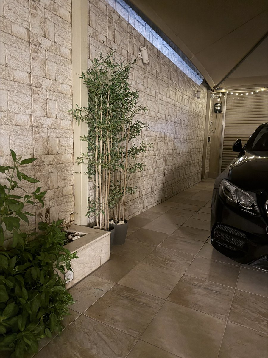 بكمل شهر وأنا اسقي هذي الزرعه و طلعت بلاستك 🙃