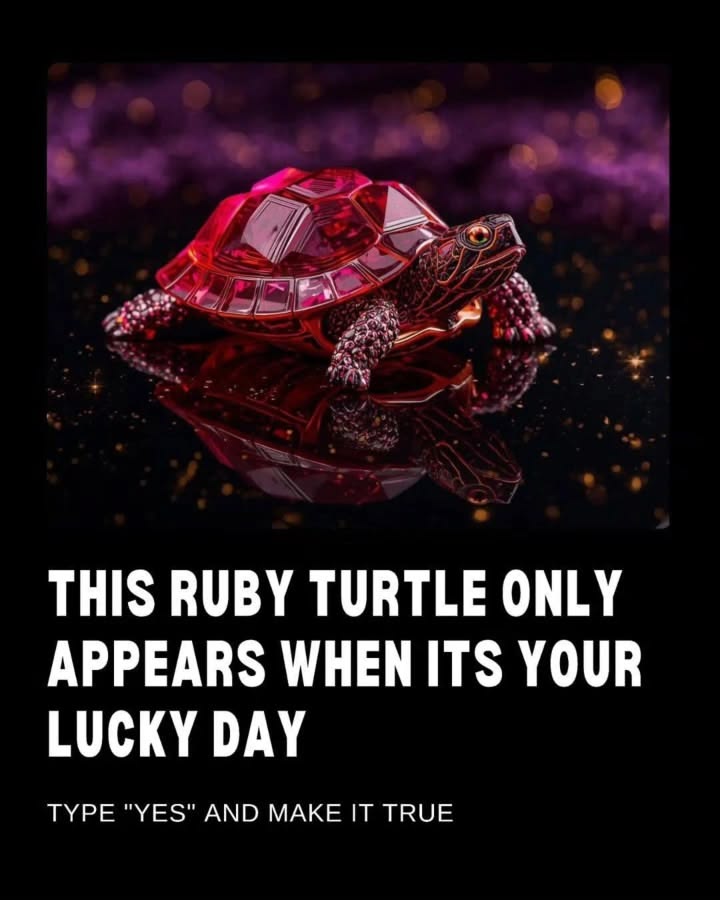 Law_of_attraction tweet media