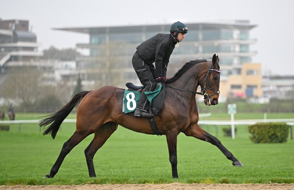 Il Etait Temps, Majborough, Lossiemouth and Kopek Des Bordes 📸