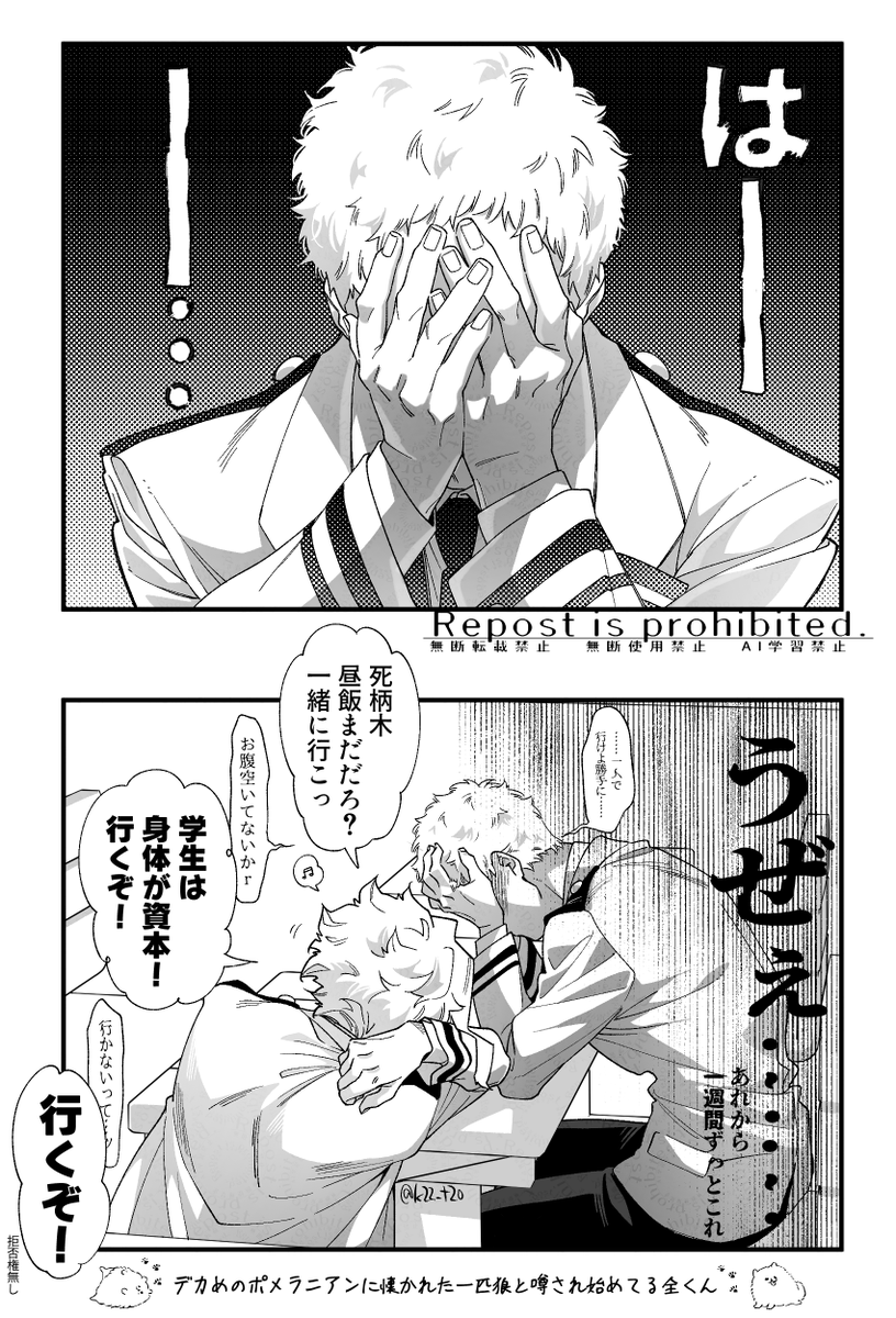 Aオル学生パロ🏫
体育祭ガチバトルトーナメント戦・一年次
後日談

ポメラニアンに懐かれた一匹狼🐶🐺 