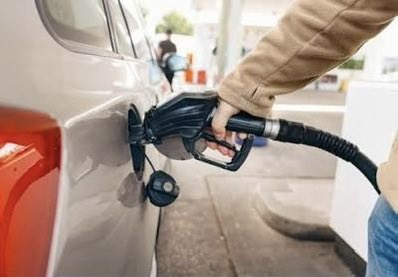 Javier Hernández Franco tweet media