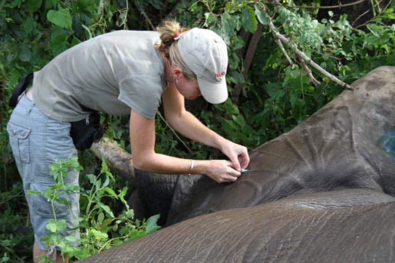 Robin Pope Safaris tweet media