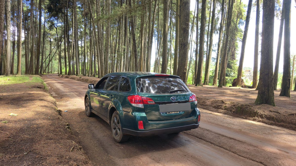 MaThings tweet media