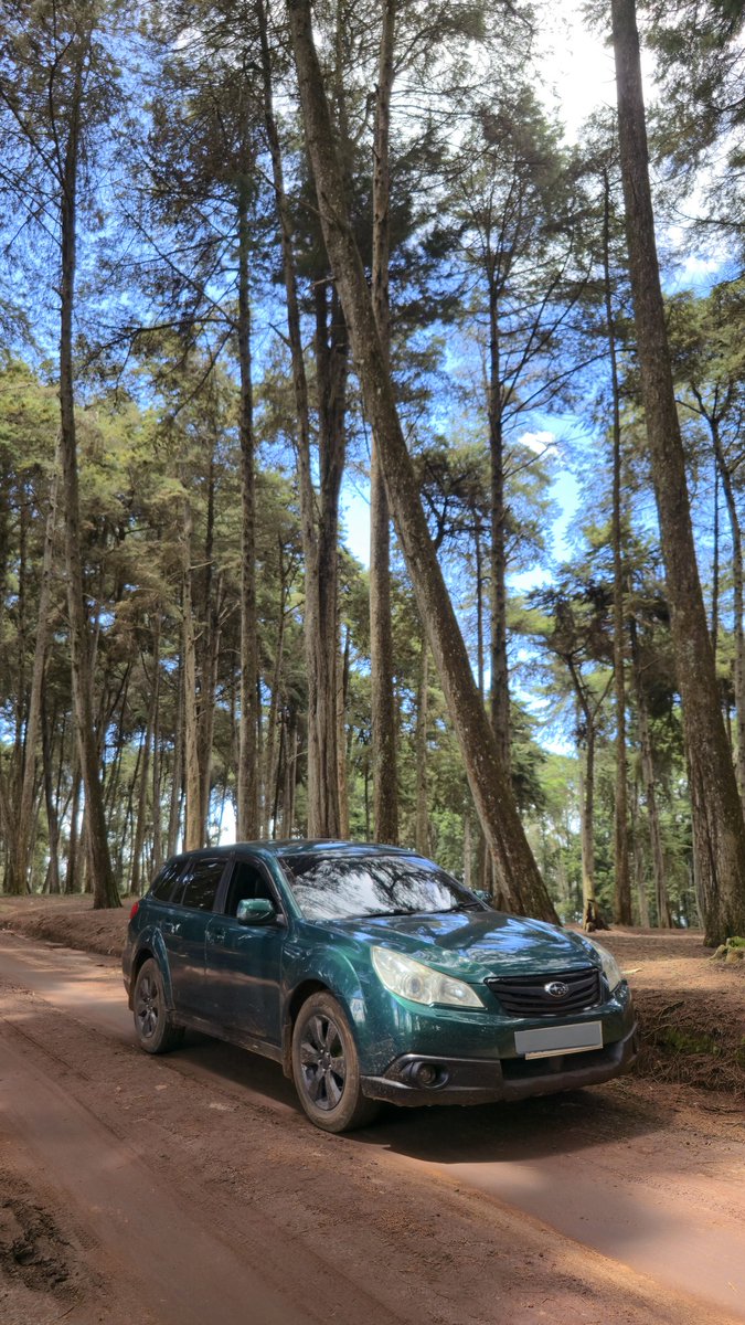 MaThings tweet media