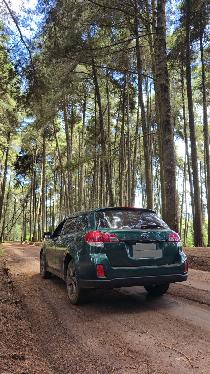 MaThings tweet media