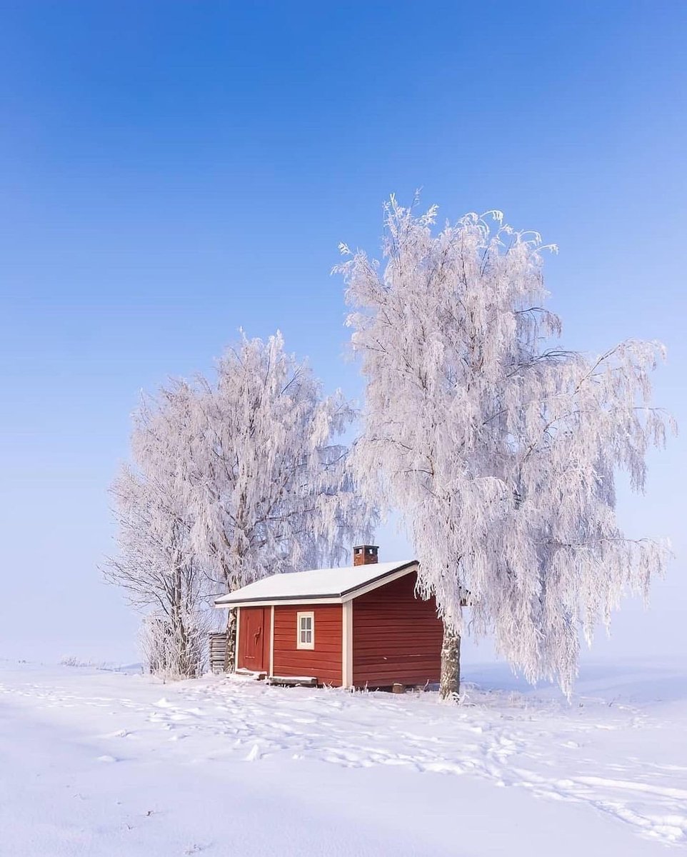 Walter Ego tweet media