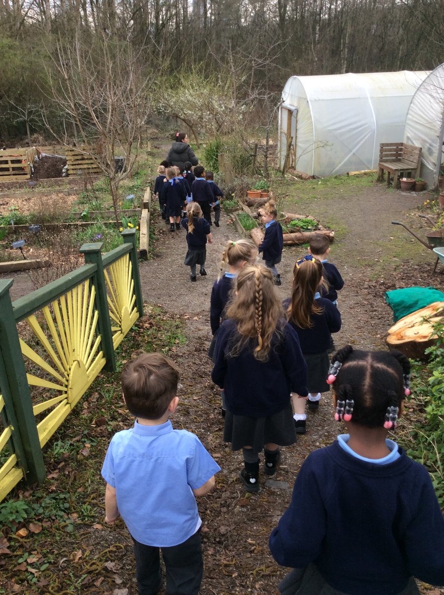 St Malachy's tweet media