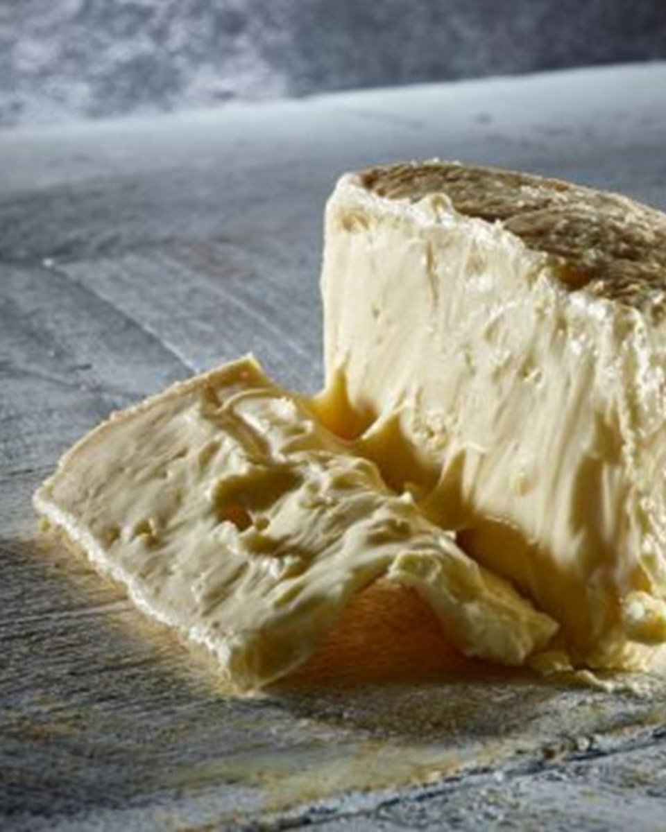 Pong Cheese tweet media