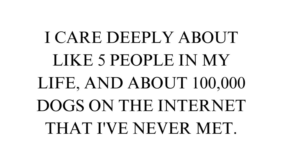 Bricktop_NAFO tweet media