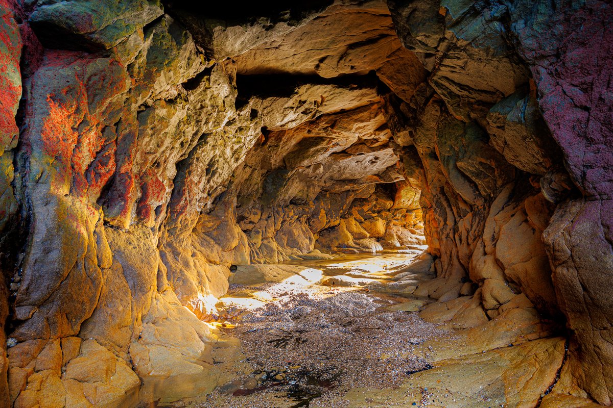 Mark Hume tweet media