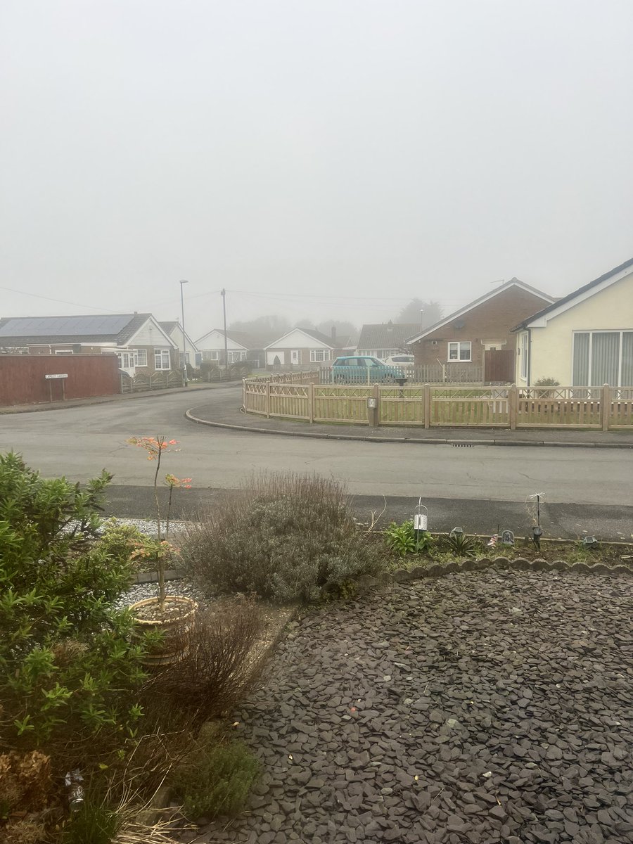 Bonnie🫡and Clyde 🏴󠁧󠁢󠁥󠁮󠁧󠁿 tweet media