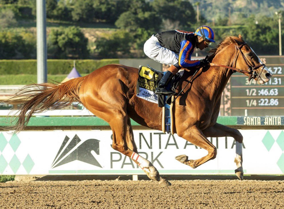 Stakes Winners 🏆 tweet media