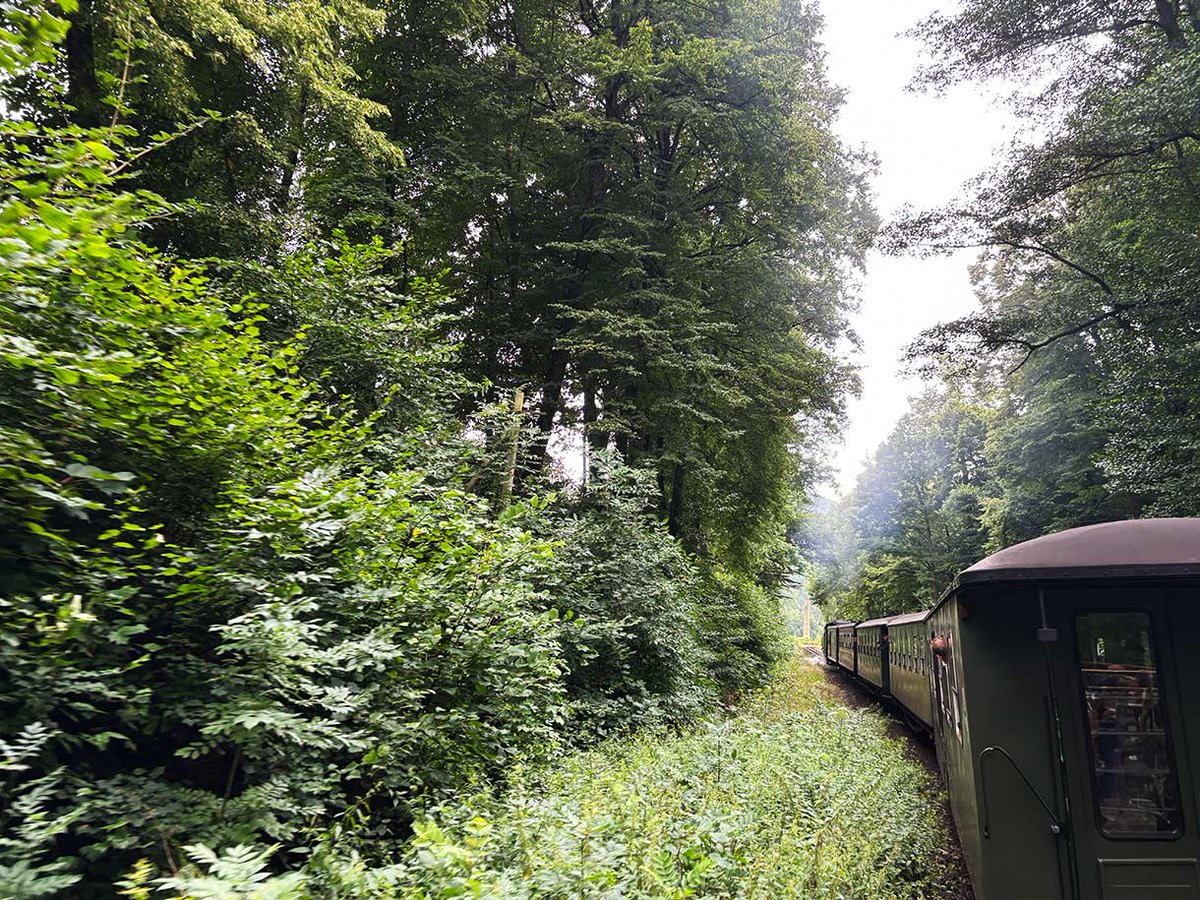 Carly | Fearless Female Travels tweet media