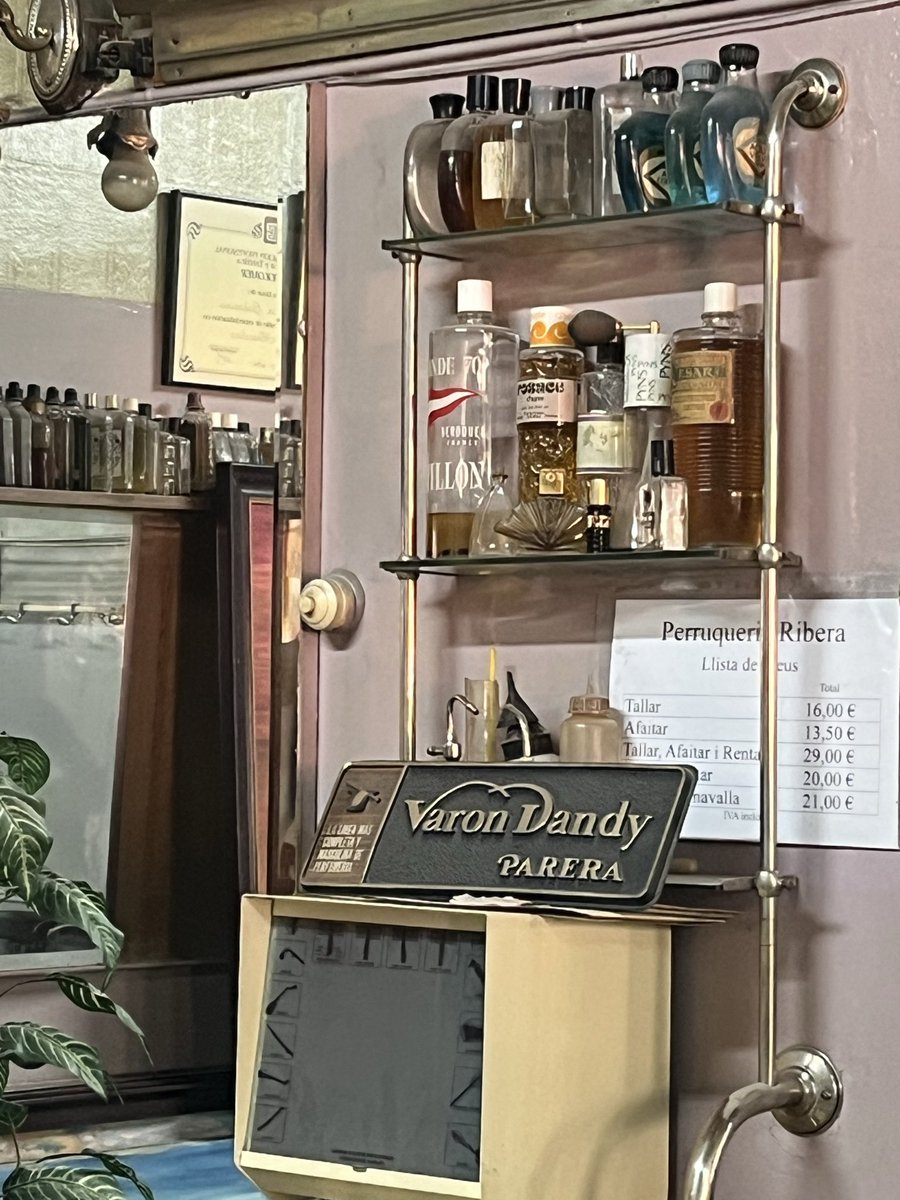 Beli Artigas tweet media