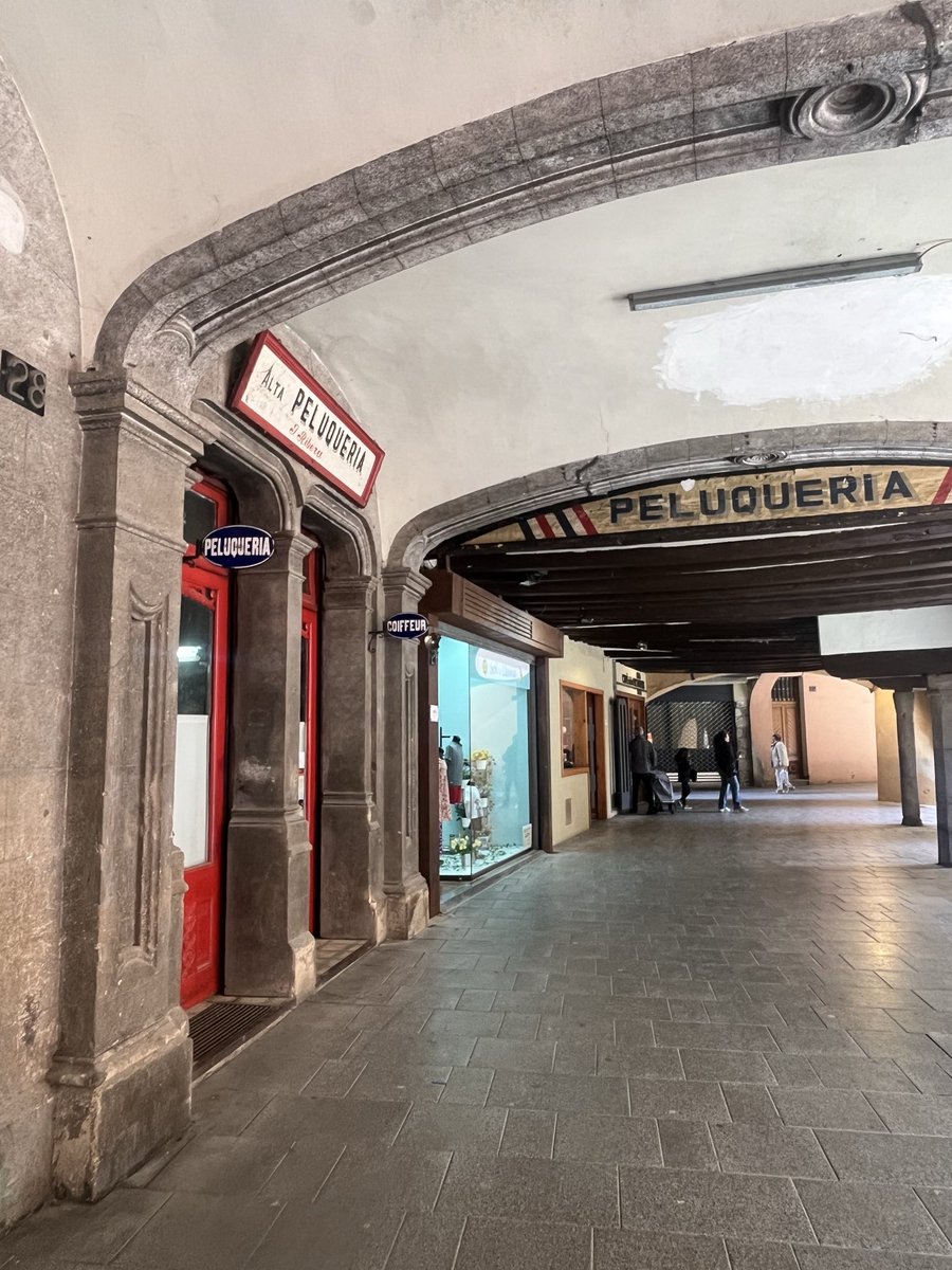 Beli Artigas tweet media