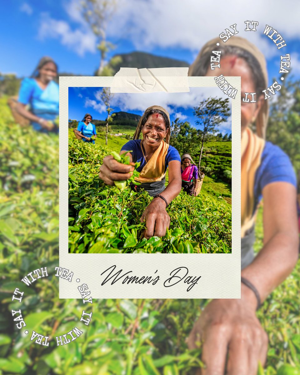 Tea Council tweet media