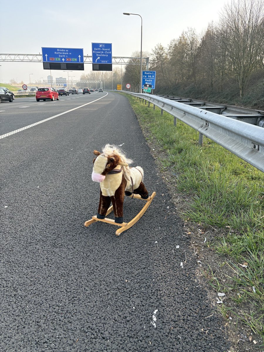 RWSverkeersinfo's tweet photo. 🐴 | We kregen een melding van een paard op de weg, dus wat doen we dan? We sturen ons beste paard van stal naar de melding. Eenmaal aangekomen bleek het vangen kinderspel, maar de terugrit een echte "Bumpy Ride". https://t.co/w6e7mHbEIb