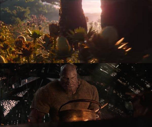 Predator tweet media