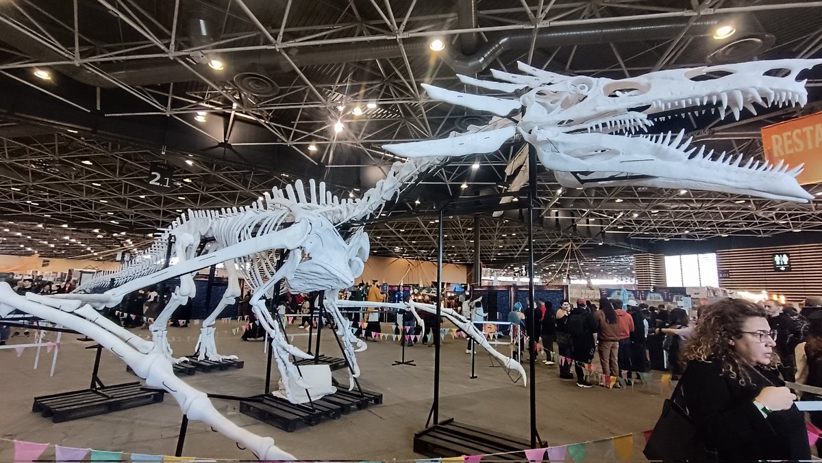 Skyriad🐉 tweet media