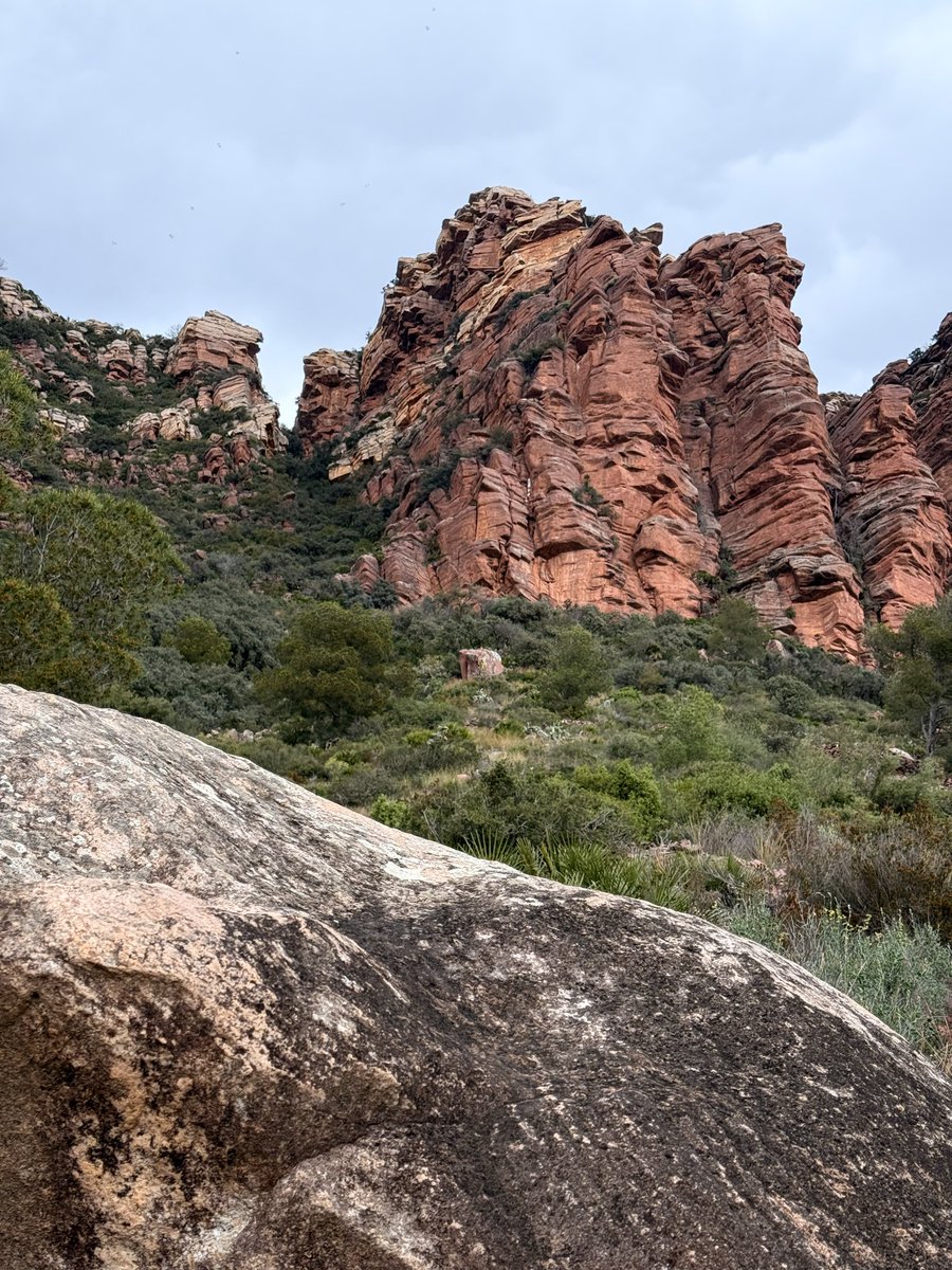 Cas Smith tweet media