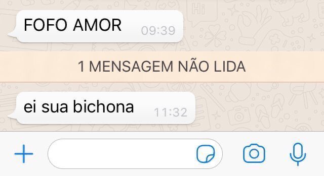 Velório do Zap (@veloriomeme) on Twitter photo 