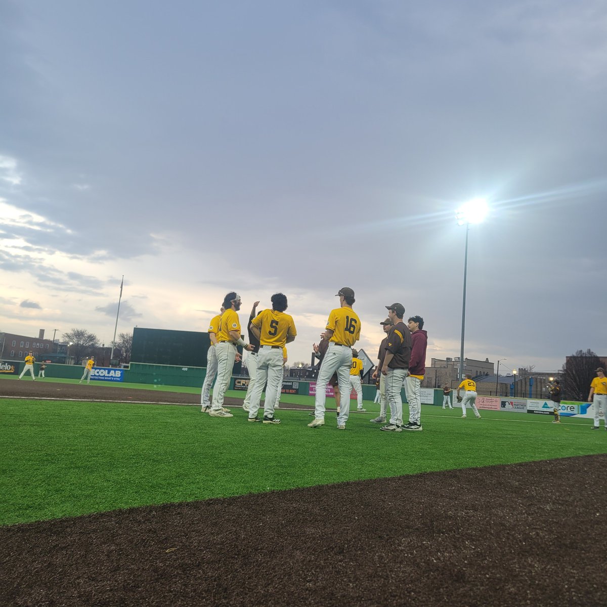 USF Saints Baseball tweet media