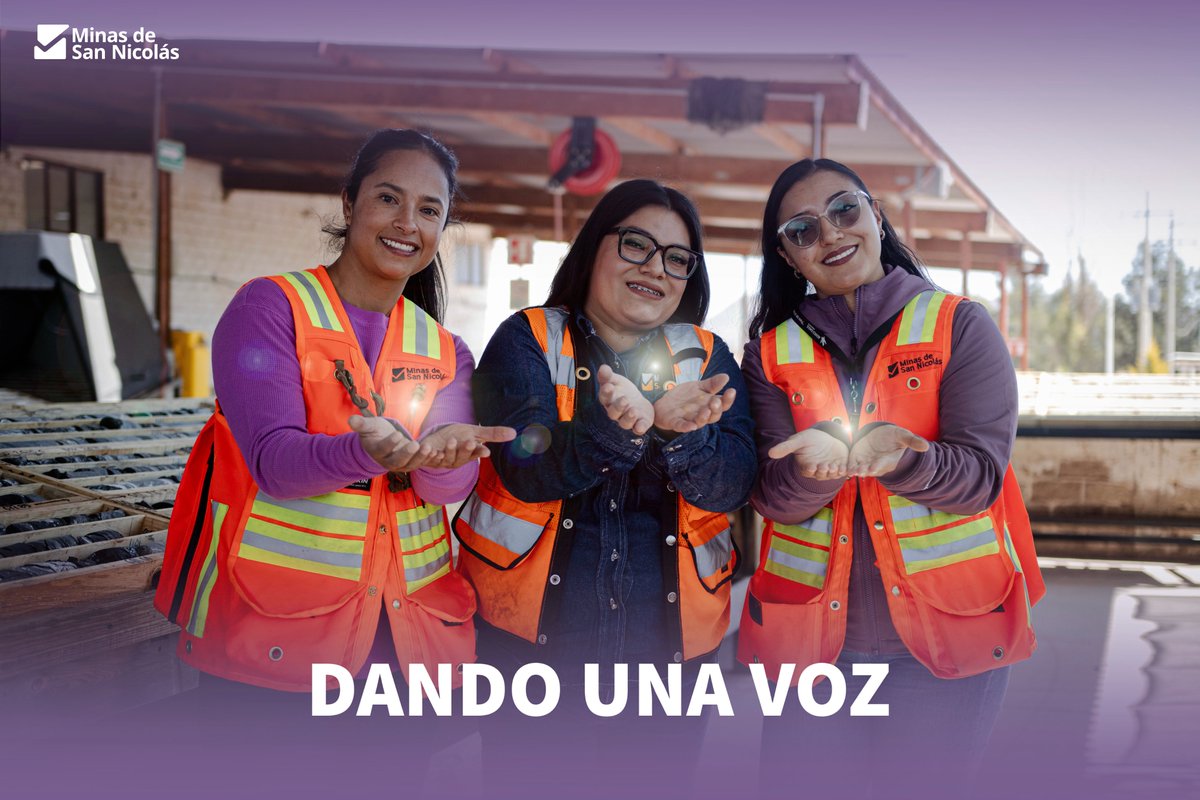 Minas de San Nicolás tweet media