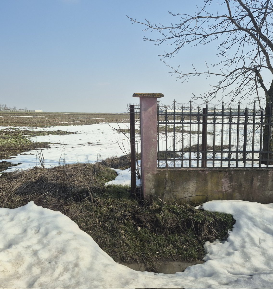 Jorge Lopez Menendez🇦🇷🇸🇱🇧🇴 tweet media