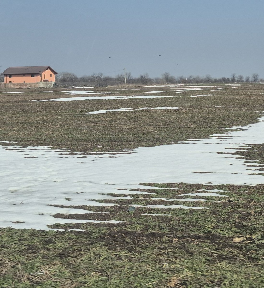 Jorge Lopez Menendez🇦🇷🇸🇱🇧🇴 tweet media