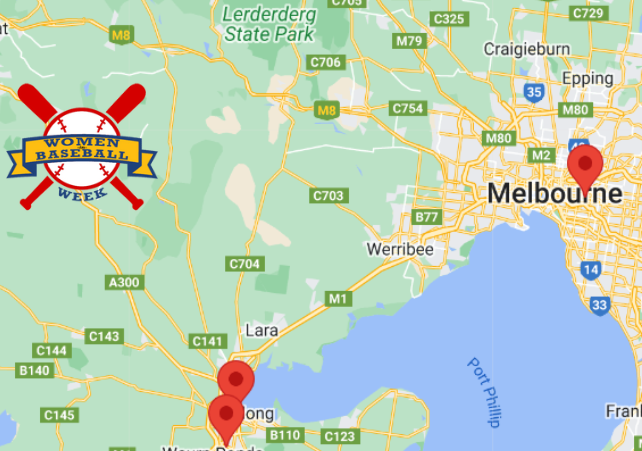 Women in Baseball Week tweet media