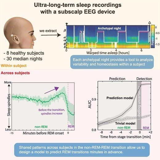 @BrainComms tweet media