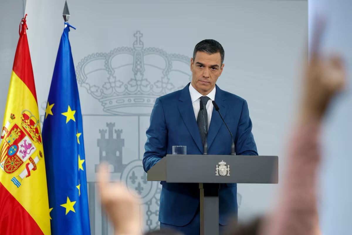 Mundo Despectivo tweet media