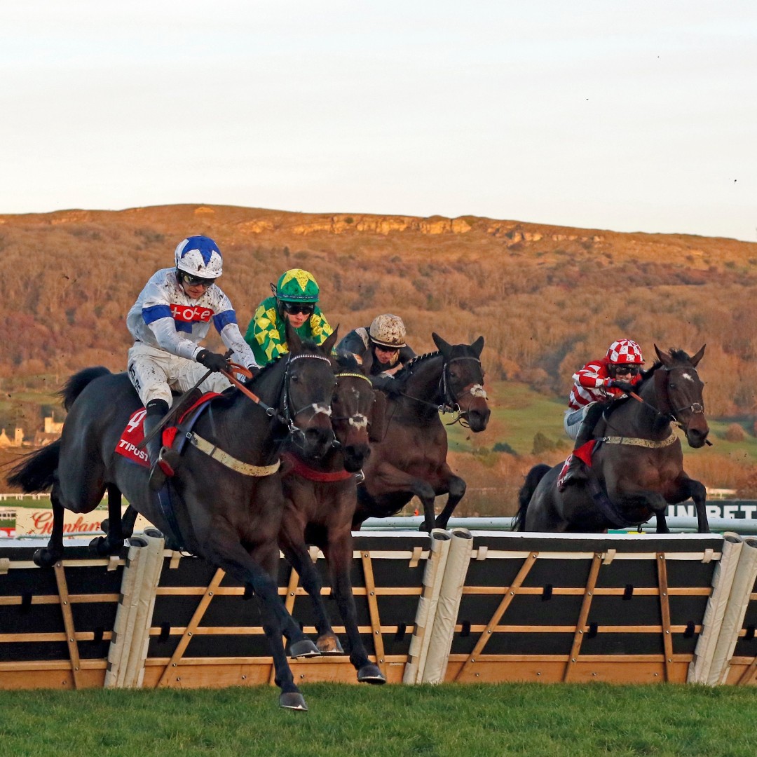 The Thoroughbred Breeders’ Association (The TBA) tweet media