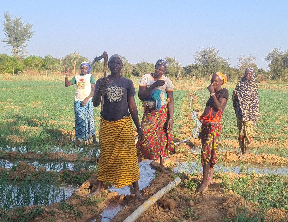 ASOCIACIÓN AMAIF tweet media