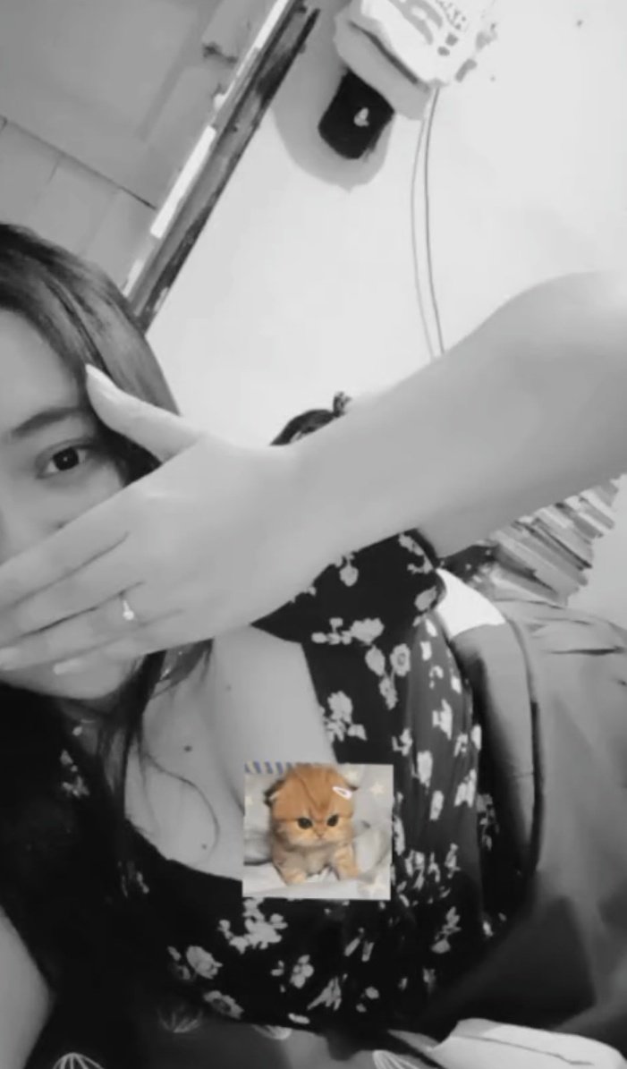 🐼 tweet media